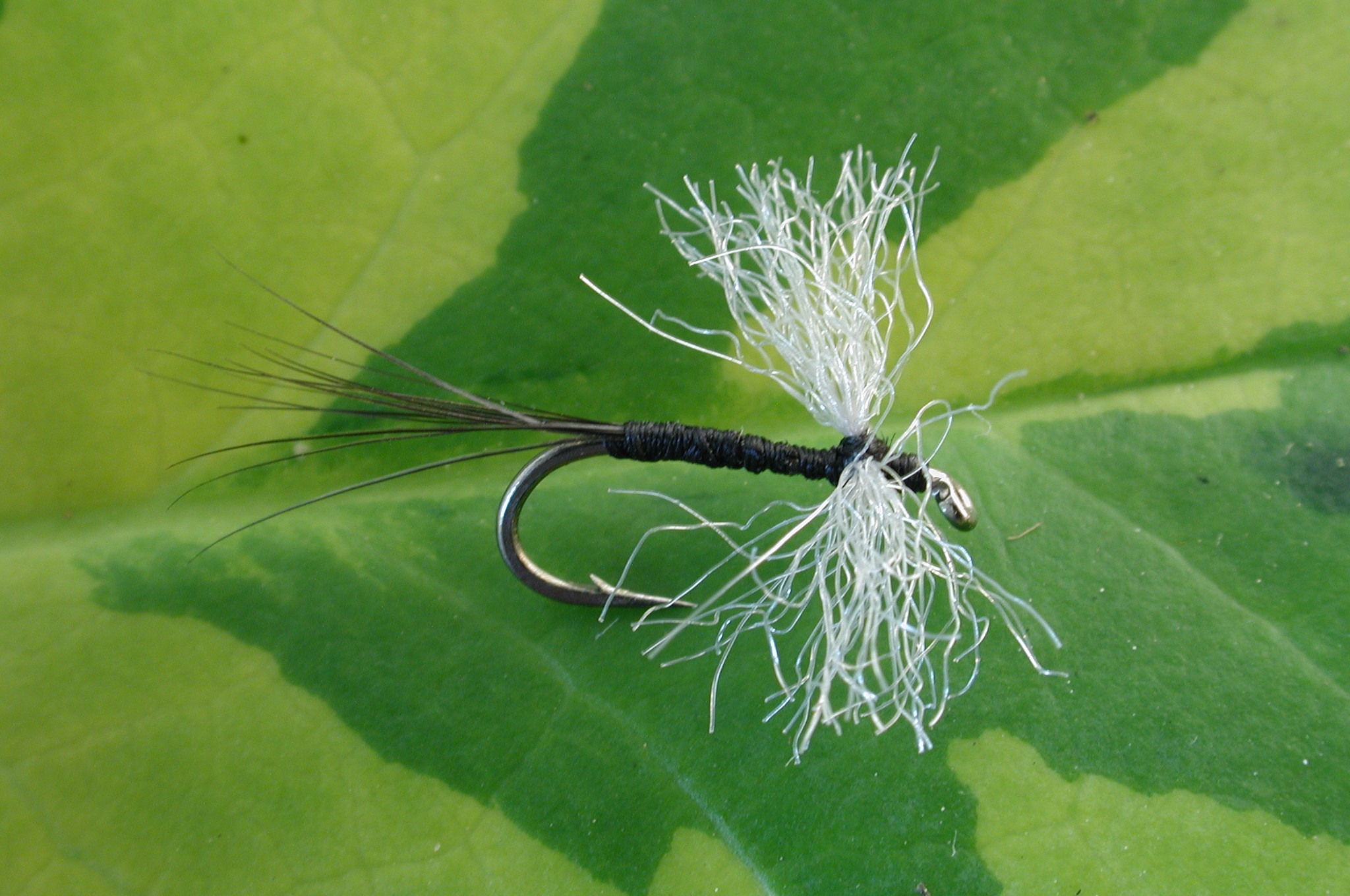 Caenid Ant Fly Fly Fishing Flies with Fish4Flies Worldwide